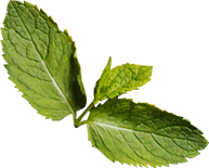 Empresa de comedores industriales en CDMX